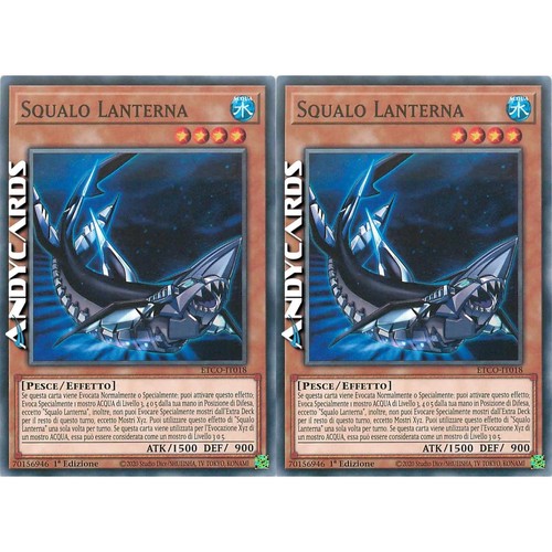 Squalo lanterna - squalo, •